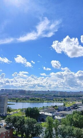 метро Ломоносовская пр-кт Железнодорожный 14к/3 ЖК «Стрижи в Невском» округ Ивановский фото