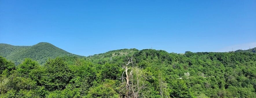 земля г Сочи р-н Лазаревский ул Ольховая фото 1