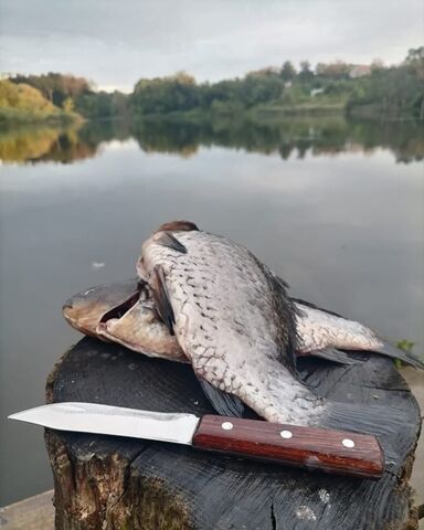 земля река Трещевка фото