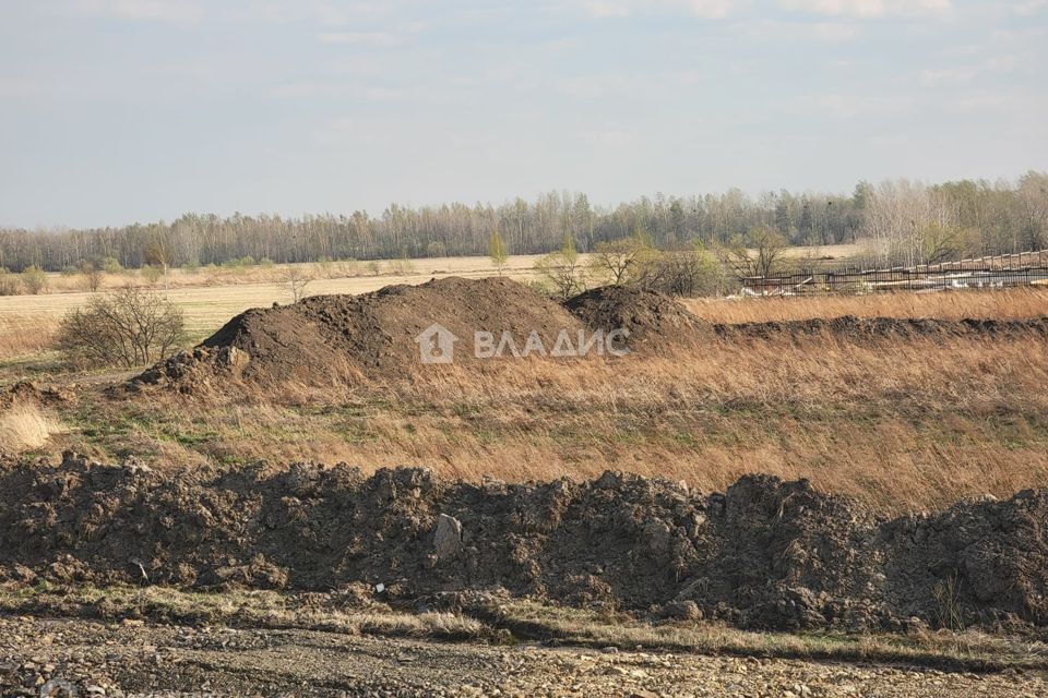 земля р-н Хабаровский село Тополево фото 1