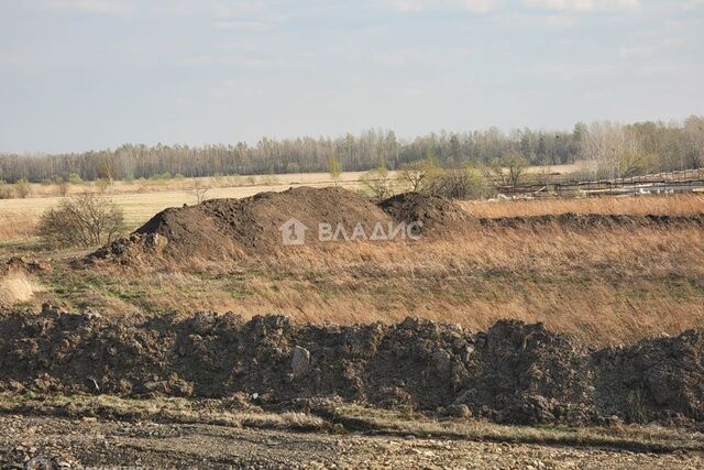 р-н Хабаровский село Тополево фото