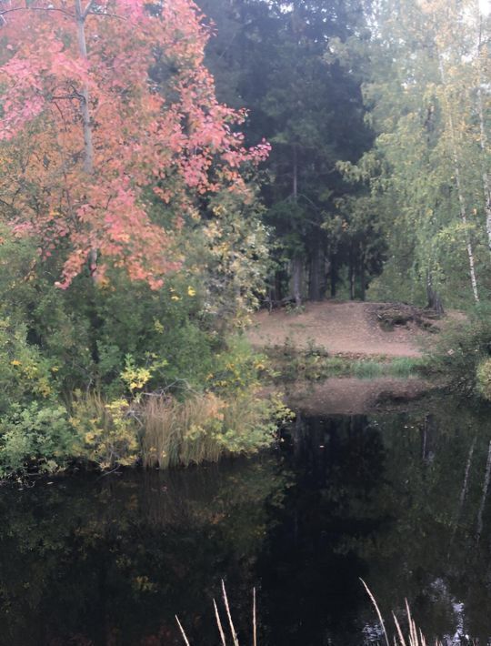 земля р-н Всеволожский д Хирвости Заневское городское поселение, Ладожская фото 7