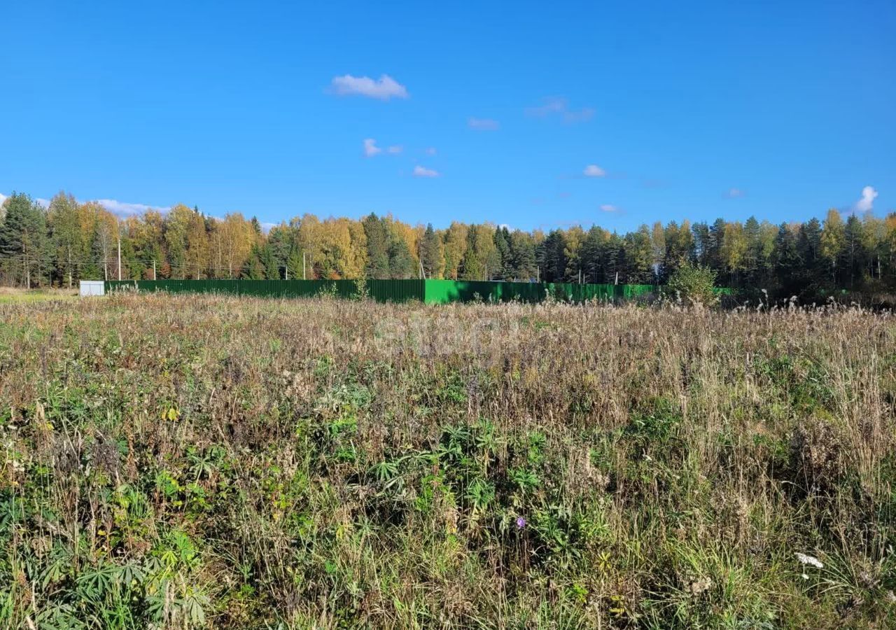 земля р-н Кадуйский сельское поселение Семизерье, Кадуй фото 20