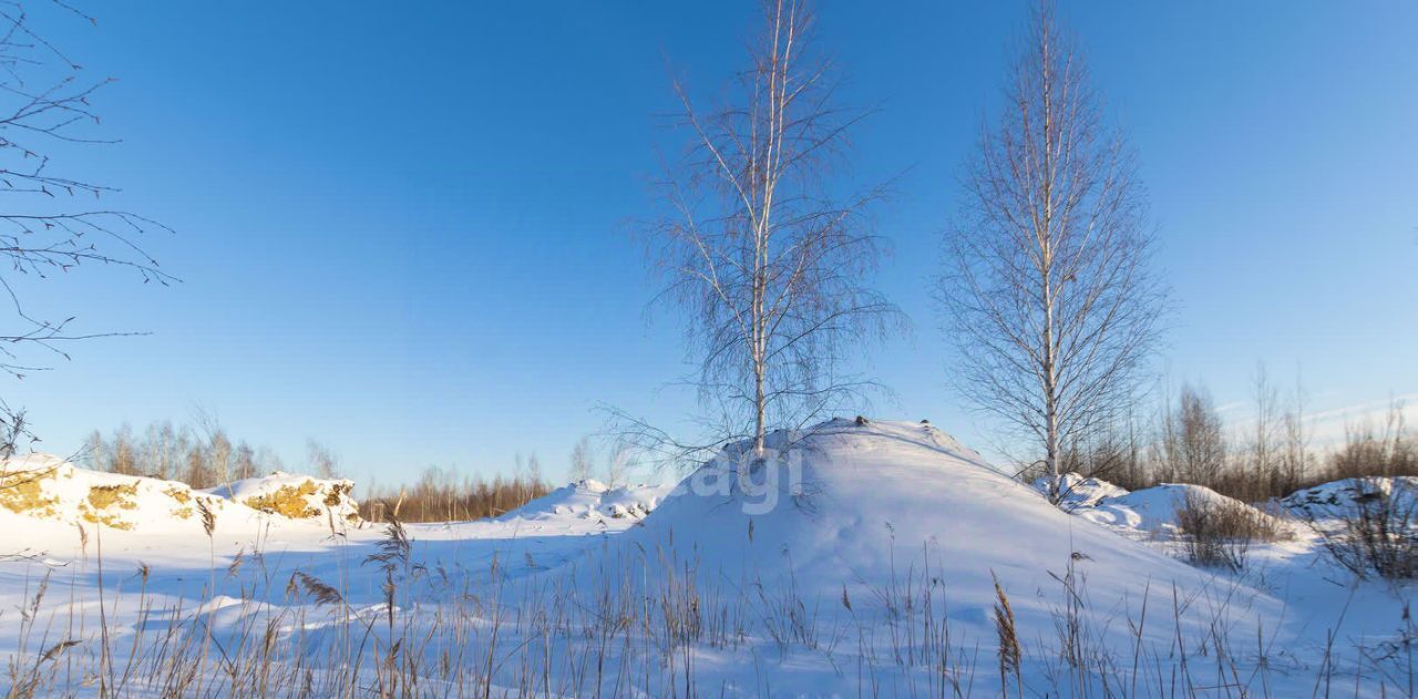 земля г Тюмень р-н Центральный снт Березняки фото 10