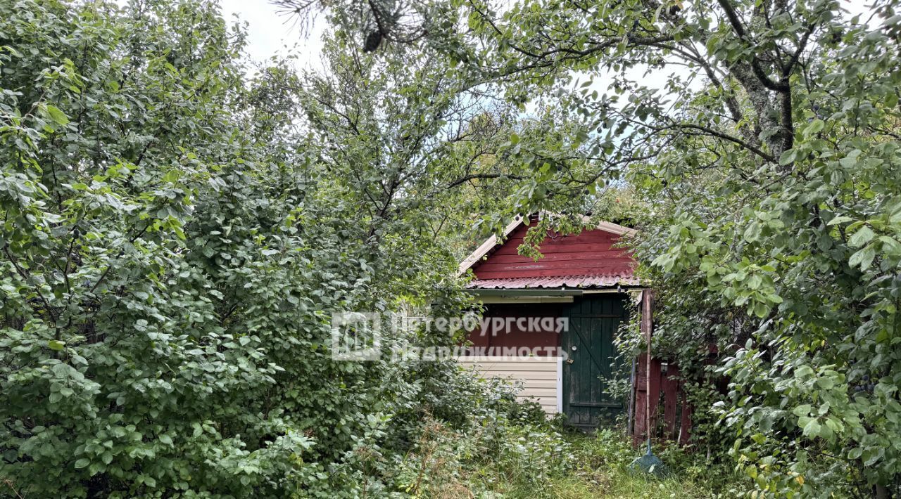 дом р-н Приозерский п Синево ул Причальная Ларионовское с/пос фото 4