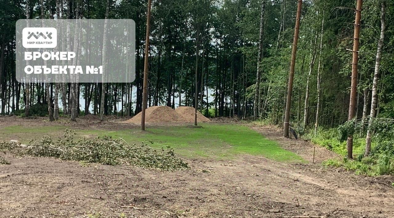 земля р-н Выборгский п Овсяное Рощинское городское поселение, Комендантский проспект фото 11