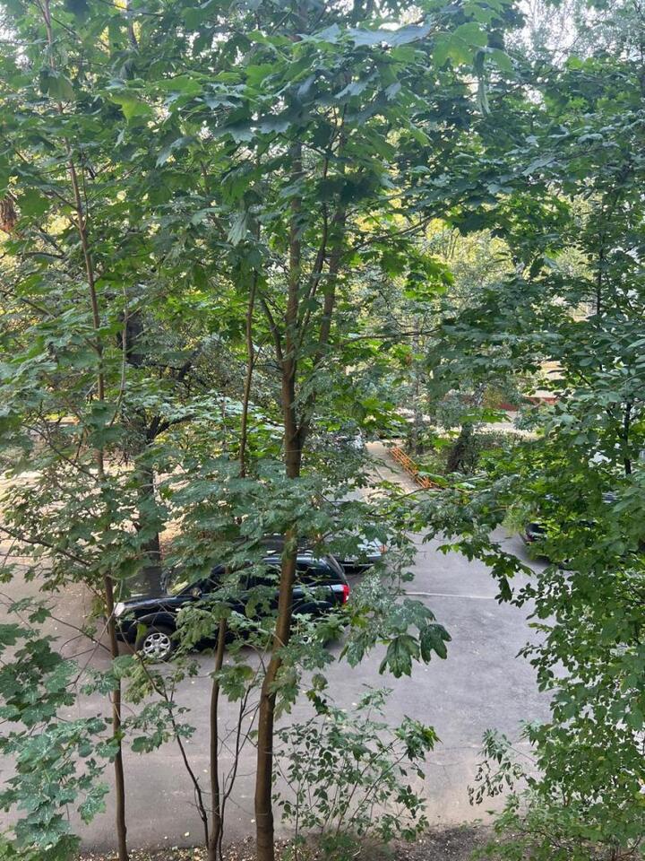 квартира г Королев ул Коммунальная 34/7 фото 12