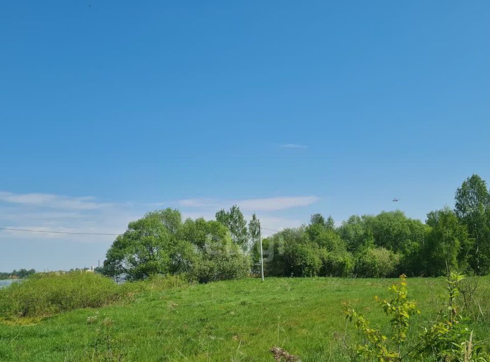 земля р-н Некрасовский с Новодашково с пос, Некрасовское фото 6