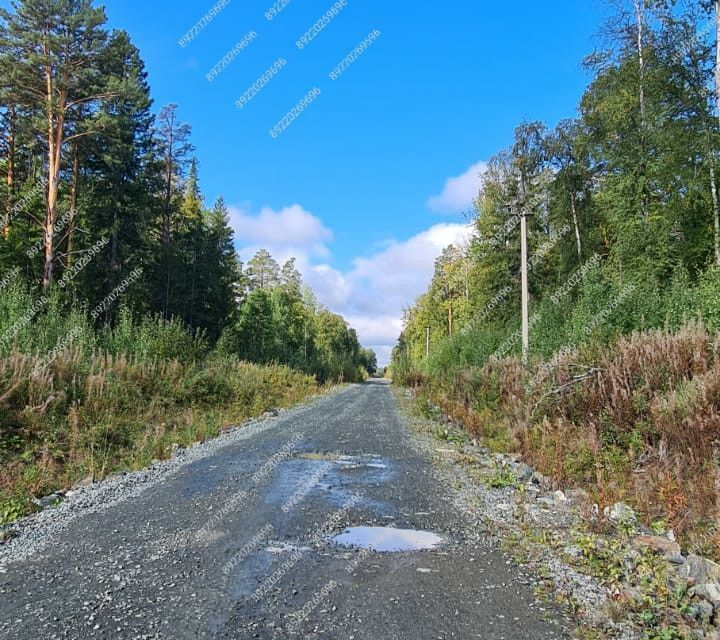 земля городской округ Ревда, улица Шумиха фото 2