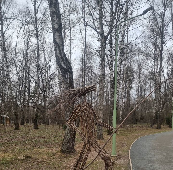 земля городской округ Пушкинский Автодорога Левково-Грибово тер., 46 фото 6