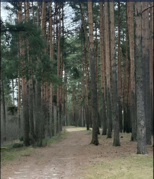 земля р-н Калининский д Изворотень пер Счастья 2 фото 6