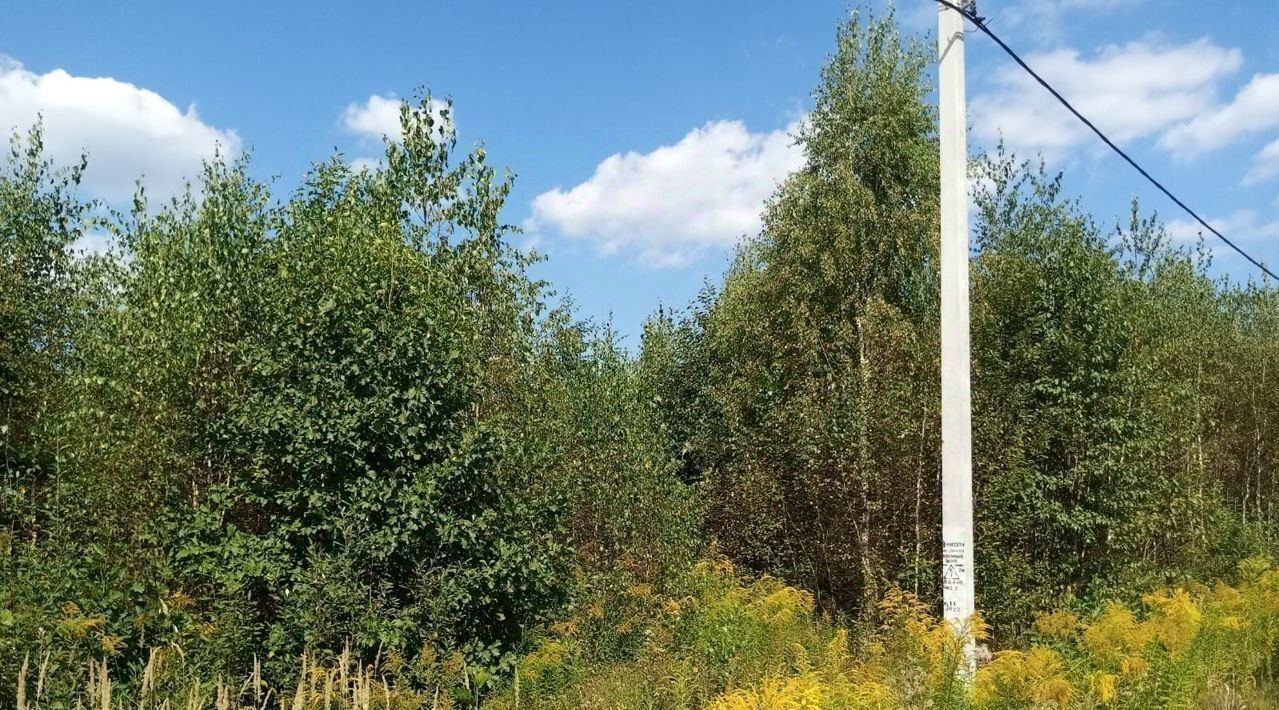 земля городской округ Павловский Посад пос. ЛПХ Новое Алешкино фото 1