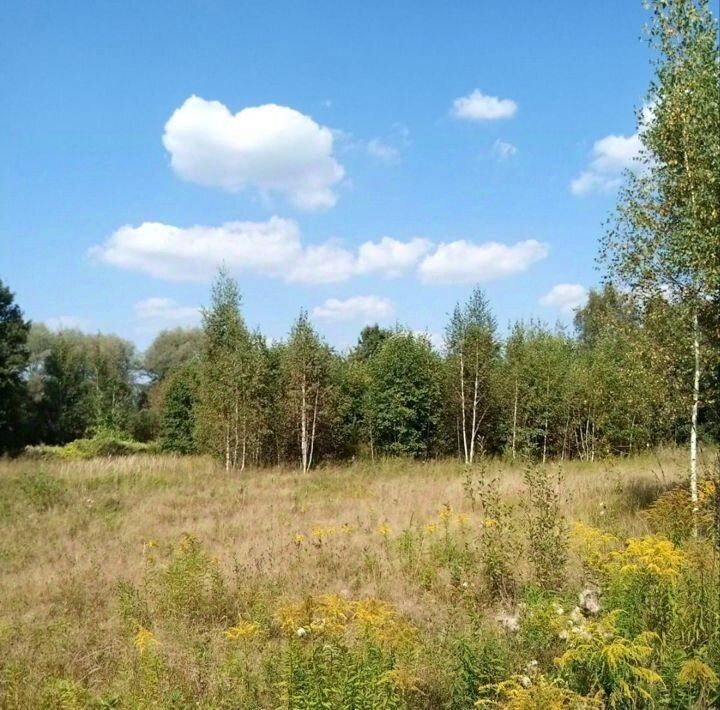 земля городской округ Павловский Посад пос. ЛПХ Новое Алешкино фото 2