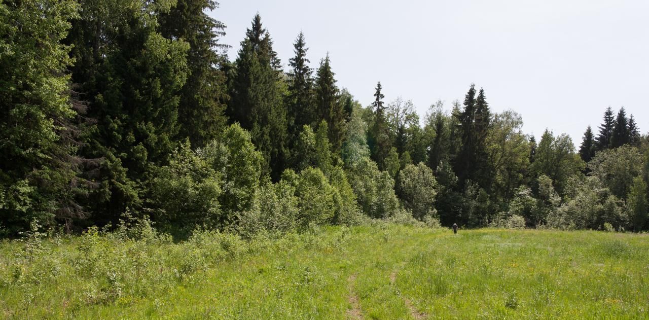 земля городской округ Одинцовский д Хотяжи Поляна СНТ фото 6