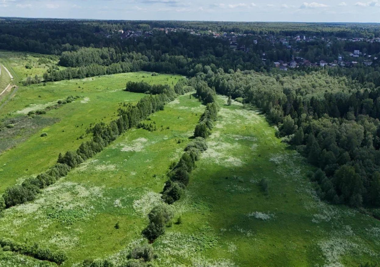 земля городской округ Солнечногорск рп Менделеево 25 км, коттеджный пос. Экопарк Никольское, г. о. Солнечногорск, Ленинградское шоссе фото 8