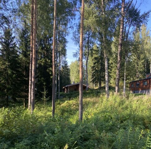 Юкковское с/пос, Дачное некоммерческое партнерство Лесной хут., 111 фото