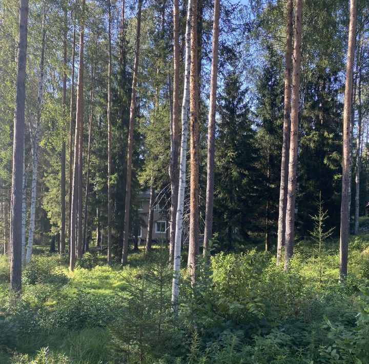 земля р-н Всеволожский д Сарженка Юкковское с/пос, Дачное некоммерческое партнерство Лесной хут., 111 фото 2