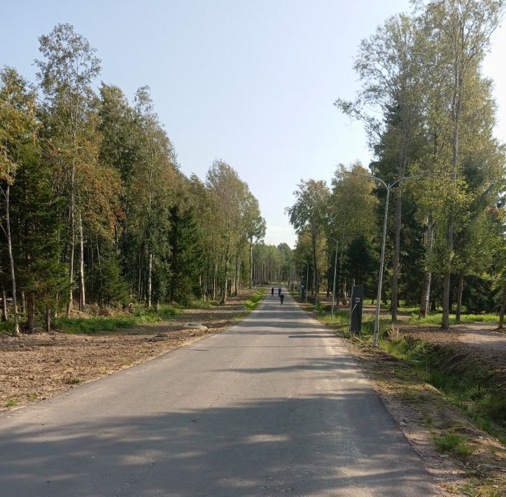 земля р-н Приозерский д Новожилово ул Центральная Сосновское с/пос фото 8