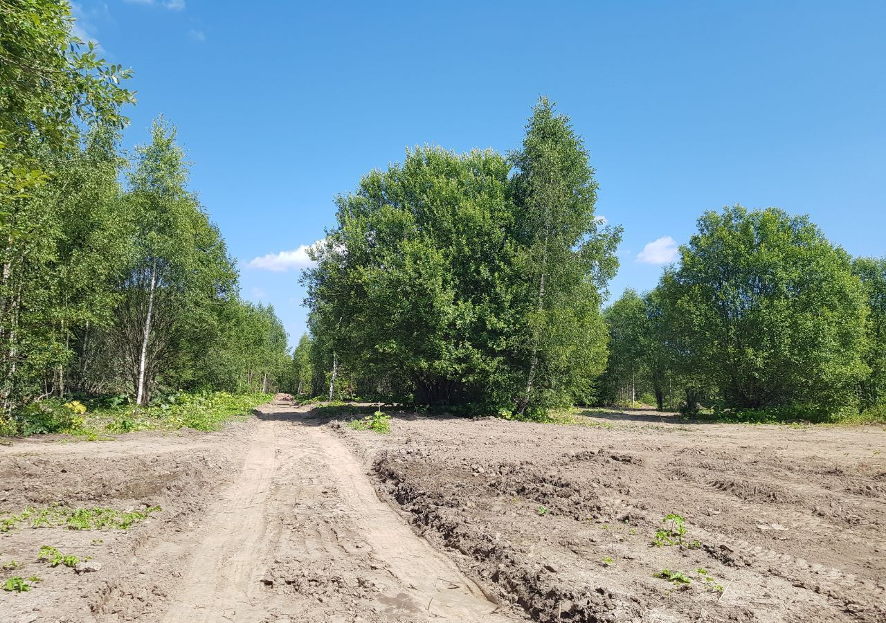 земля городской округ Рузский д Ивойлово 71 км, Сычево, Волоколамское шоссе фото 32