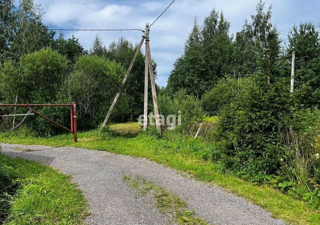 Лебяженское городское поселение, товарищество личных подсобных хозяйств Авиатор фото