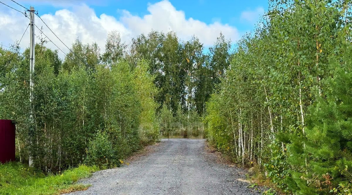 земля р-н Тюменский д Якуши Атлетик Вилладж кп фото 4