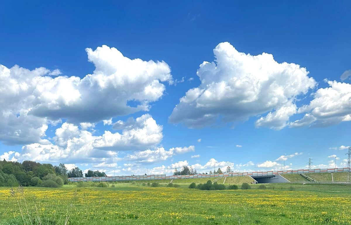 офис городской округ Солнечногорск д Стародальня Зеленоград — Крюково фото 26