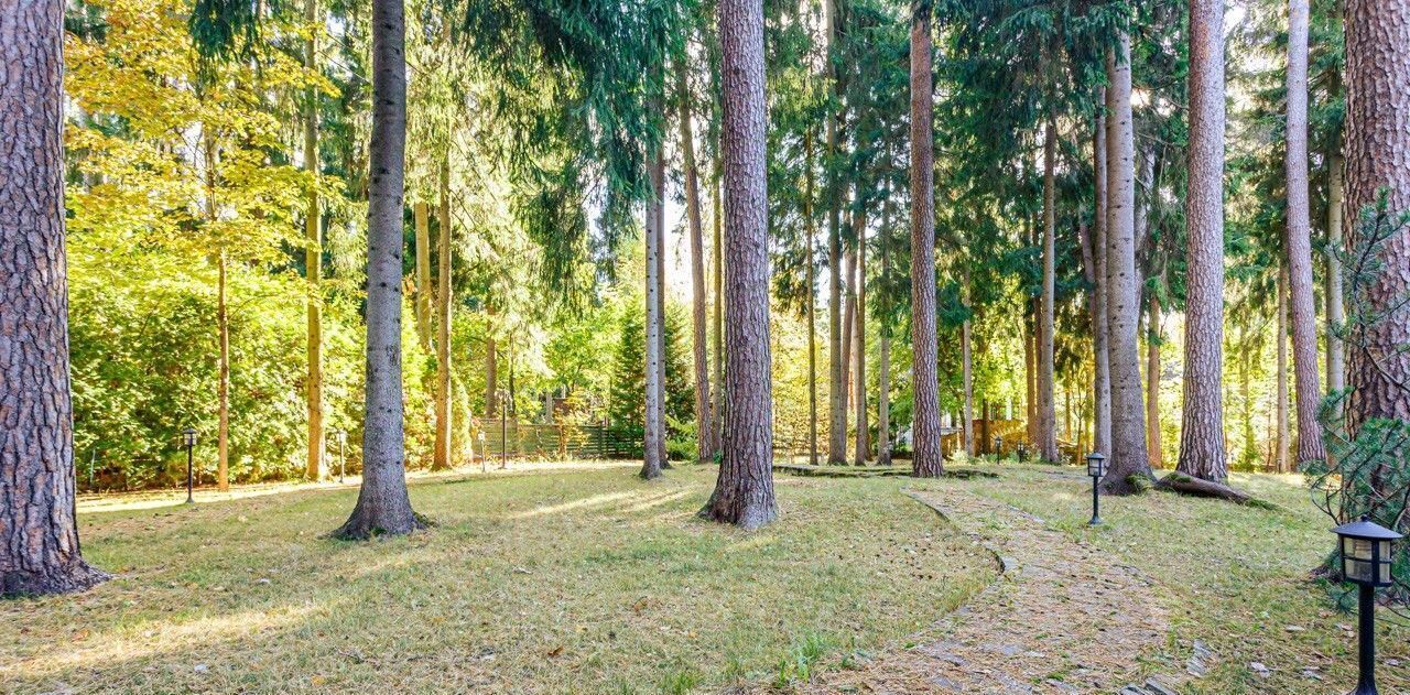 дом городской округ Одинцовский п Николина Гора ул. Центральная, 7, Сосновый Бор кп фото 4