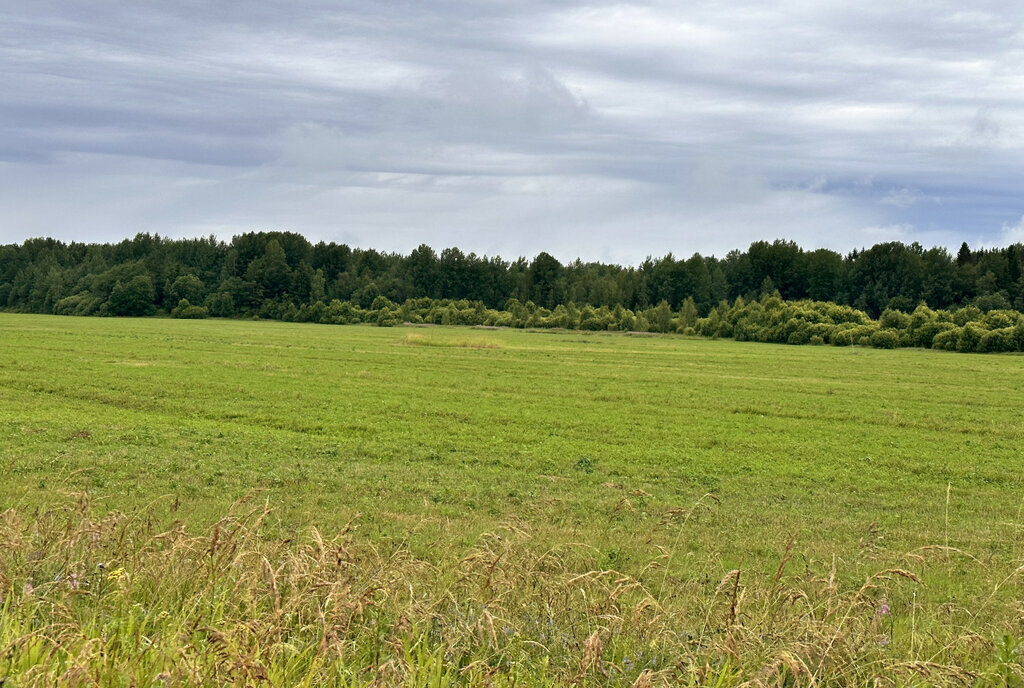 земля р-н Тосненский д Рамцы Любанское городское поселение фото 3