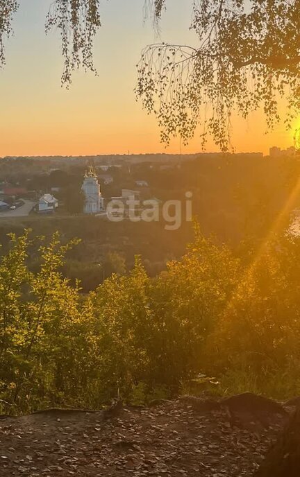 земля р-н Кстовский д Ветчак Пролетарская фото 4