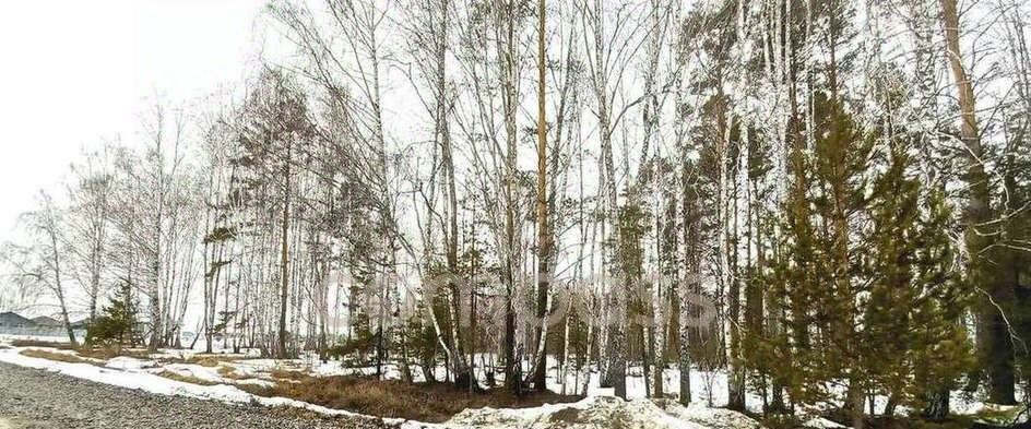 дом р-н Тюменский д Падерина ул Луговая Московское сельское поселение фото 19