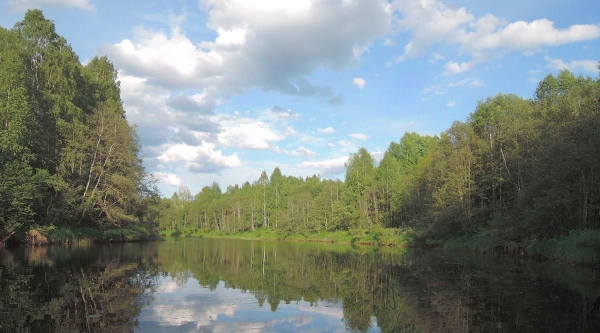 земля городской округ Истра д Давыдково фото 19