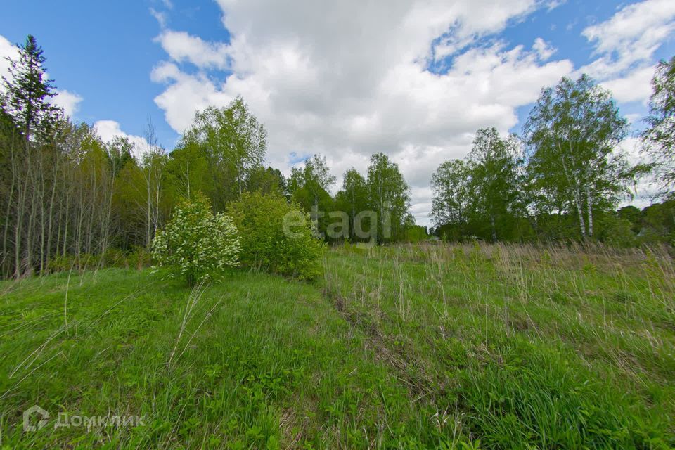 земля р-н Томский село Зоркальцево фото 7