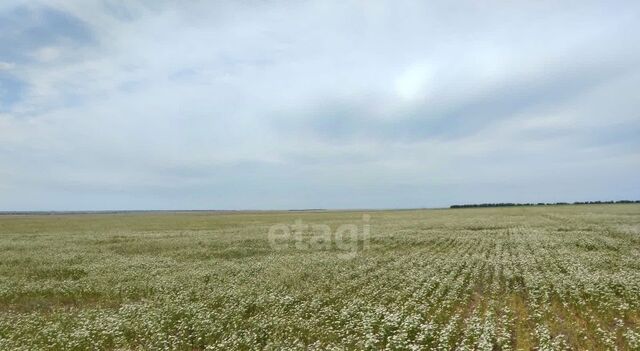 пгт Новоозерное пл. Центральная фото