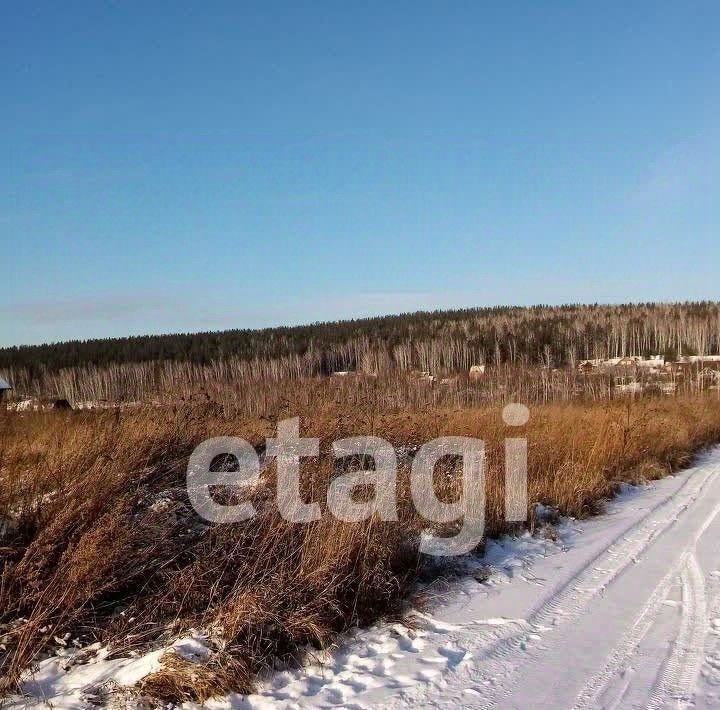 земля р-н Емельяновский п Арей ул Озерная Шуваевский сельсовет фото 1