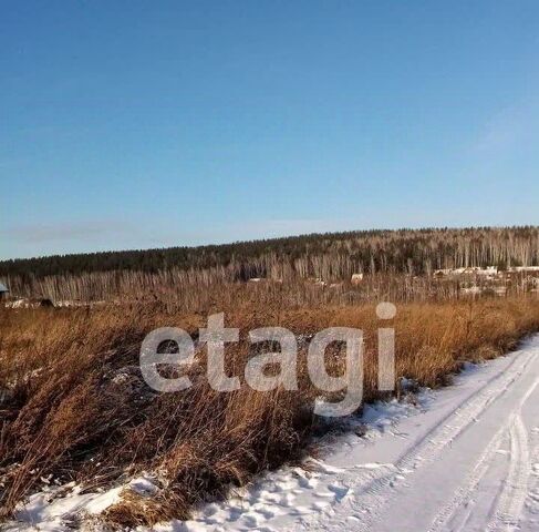 ул Озерная Шуваевский сельсовет фото