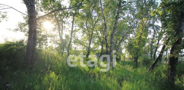 снт тер.Сапфир Крастяжмаш сельсовет, Солонцовский фото