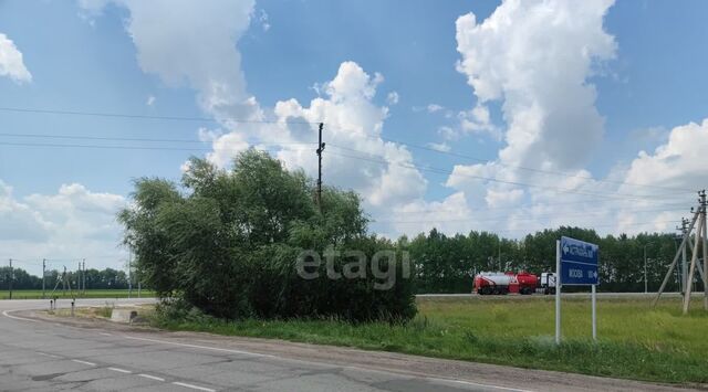 с Малая Грибановка фото