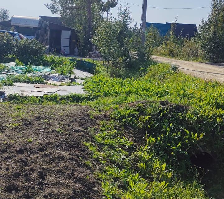 земля р-н Тосненский городской посёлок Ульяновка, садоводческое некоммерческое товарищество Саблинское фото 4