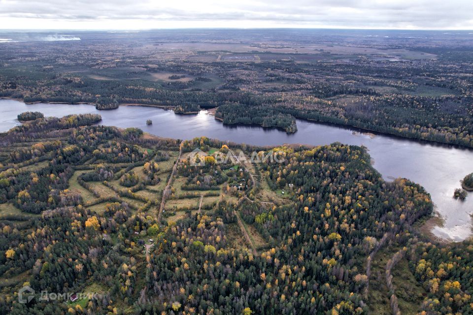 земля р-н Приозерский посёлок Студёное фото 3