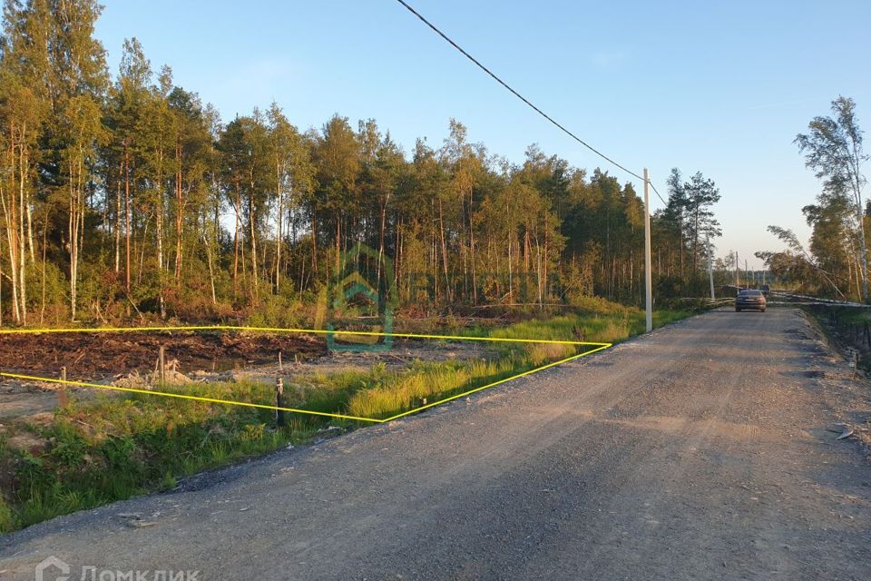 земля р-н Всеволожский фото 2