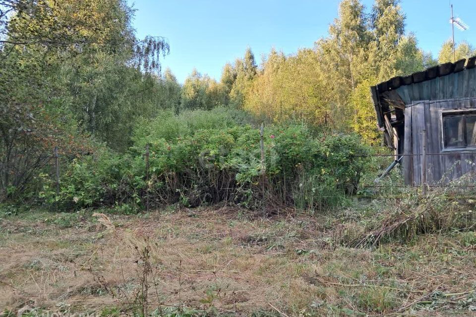 земля городской округ Дмитровский деревня Сальково фото 1