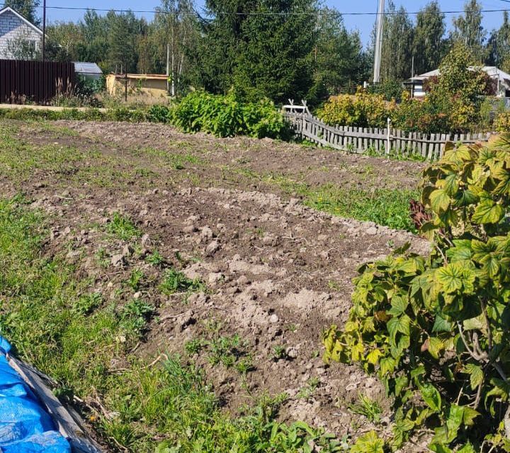 земля р-н Тосненский городской посёлок Ульяновка, садоводческое некоммерческое товарищество Саблинское фото 8