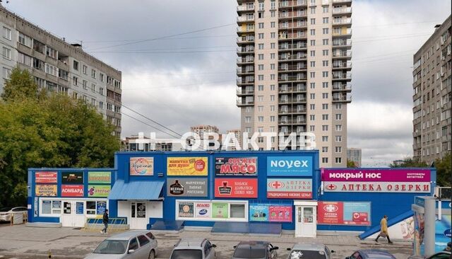 г Новосибирск Маршала Покрышкина ул Кропоткина 130/7 фото