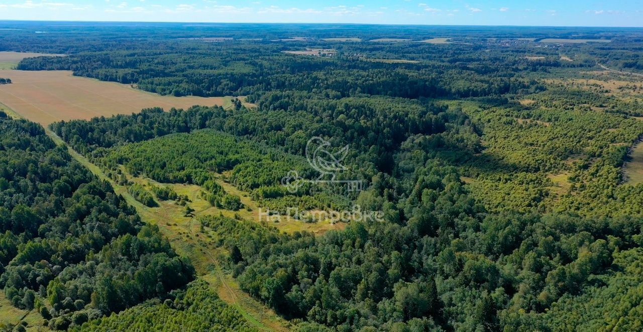 земля городской округ Шаховская рп Шаховская 120 км, Новорижское шоссе фото 6