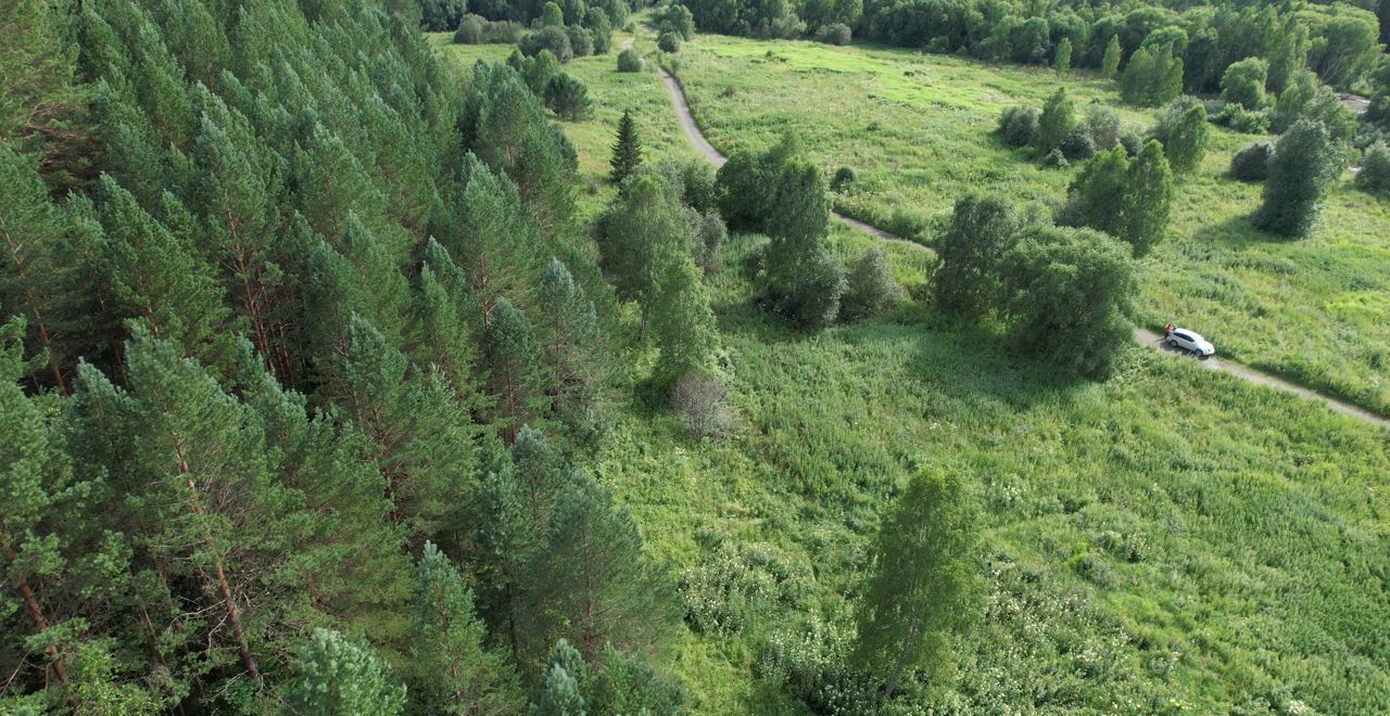 земля р-н Чойский с Кара-Торбок Горно-Алтайск фото 3