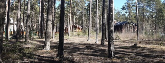 земля ул Привокзальная 29 метро Удельная фото