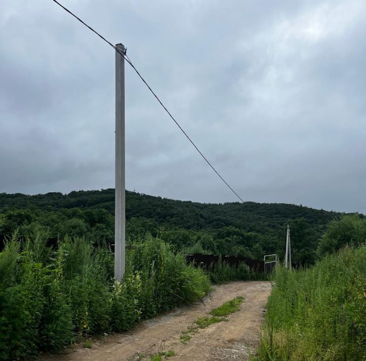 земля г Артем снт Родник-1 ул Гагарина фото 6