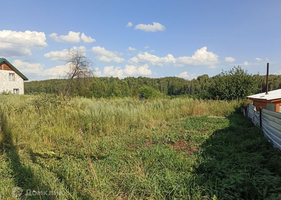 земля р-н Новосибирский село Новолуговое фото 1