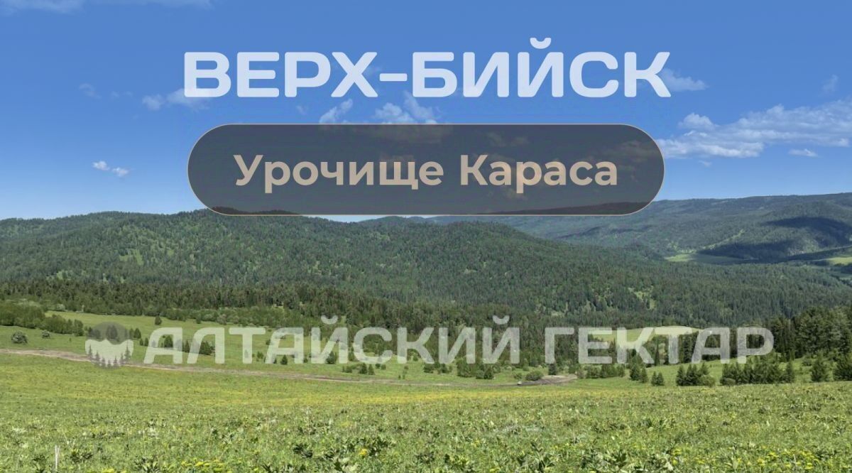 земля р-н Турочакский с Верх-Бийск ул Ленина фото 1