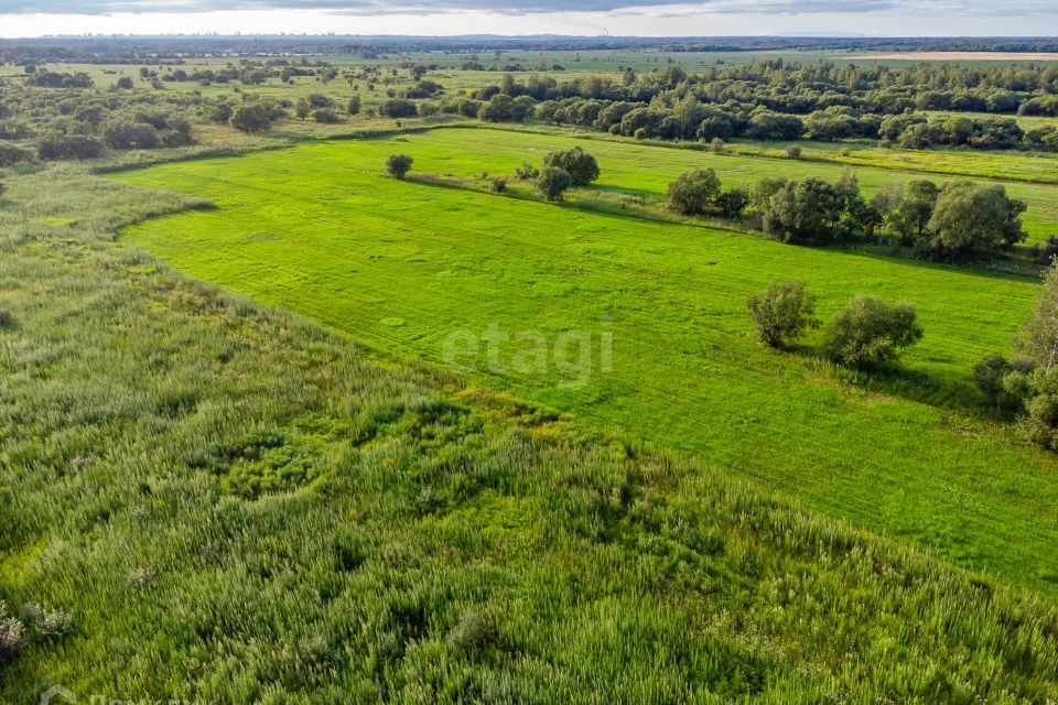 земля р-н Хабаровский село Дружба фото 1